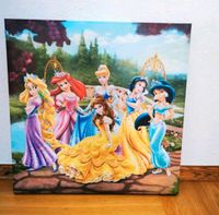 Bild Disney Prinzessinnen 35x35cm Hessen - Wetzlar Vorschau