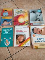 Hebammensprechstunde, Schlaf gut, Babys 1. Jahr, Stillbuch Baby Sachsen-Anhalt - Ballenstedt Vorschau