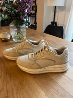 Schöner Sneaker Nordrhein-Westfalen - Detmold Vorschau