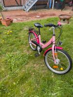 Kinder Fahrrad 20 Zoll rosa Kreis Pinneberg - Schenefeld Vorschau