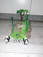 Playmobil Pandabären Kiel - Neumühlen-Dietrichsdorf-Oppendorf Vorschau