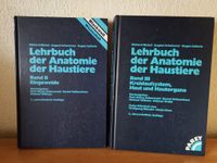 Buch Lehrbuch der Anatomie der Haustiere Band 2 3 Nickel Hessen - Diemelsee Vorschau