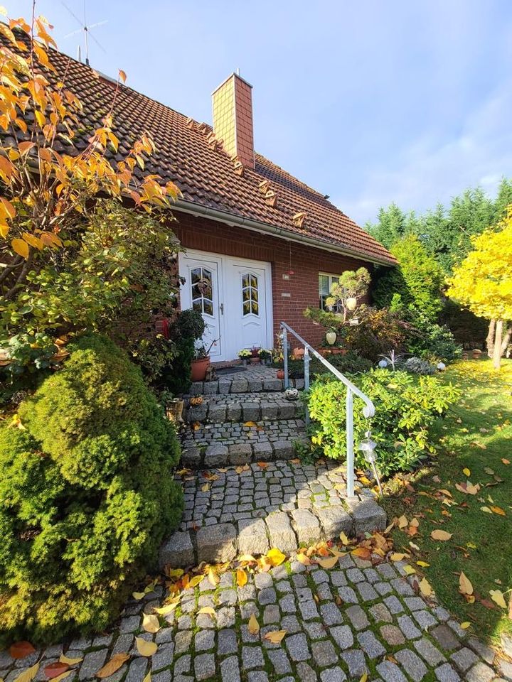 Großzügig und hochwertig gebautes Haus mit Pool u. Kamin in 39264 in Nedlitz