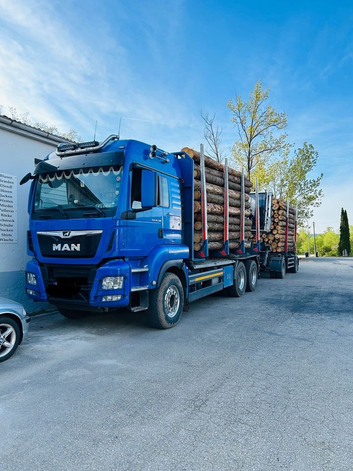 MAN TGS 25.500 Holztransporter Palfinger in Ludwigschorgast