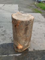 Hauklotz für Brennholz, Holzklotz Nordrhein-Westfalen - Hamm Vorschau