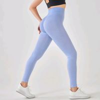 Gym Leggings Gr S 34 36 38 lila Seamless Misty Lilac Hessen - Wiesbaden Vorschau