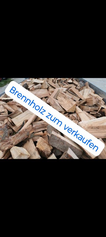 Mietgeräte und Brennholz zum verkaufen in Schillingsfürst
