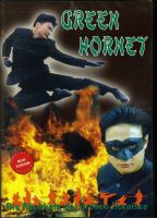 DVD Green Hornet, Die Rückkehr der grünen Hornisse (neu) Rheinland-Pfalz - Ransbach-Baumbach Vorschau