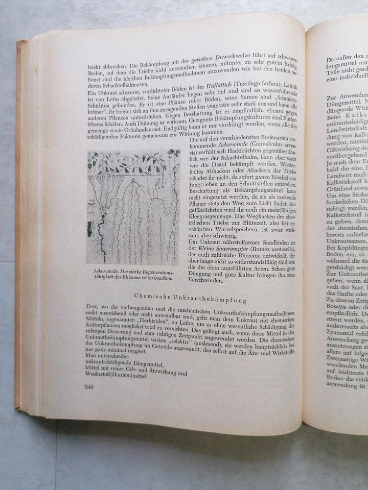 DDR  Schulbuch Lehrbuch Ackerbau Pflanzenbau 1956 Fachschule Land in Chemnitz