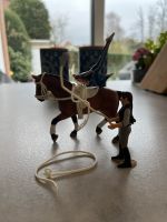 Schleich Set Nordrhein-Westfalen - Velbert Vorschau