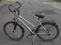 Bocas Trekkingrad 28 Zoll Fahrrad Alu 24-Gang Silber TX-400 Niedersachsen - Schwarmstedt Vorschau