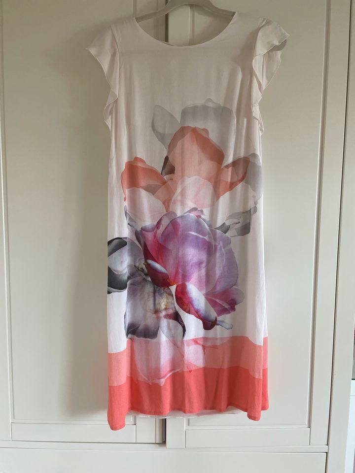 Maxima Kleid Sommerkleid Größe 36 in Bremen