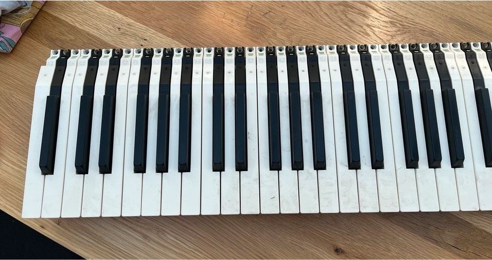 E Piano Tastatur Fatar 52 weiße, 36 schwarze Tasten in Hamburg