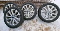 215 50 R17 95V Michelin Alpin 6 Reifen Winterräder Thüringen - Ilmtal Vorschau