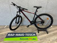 Mountainbike BBF "MTX 1.7" 21-Gang 29", RH 48 cm Brandenburg - Luckau Vorschau