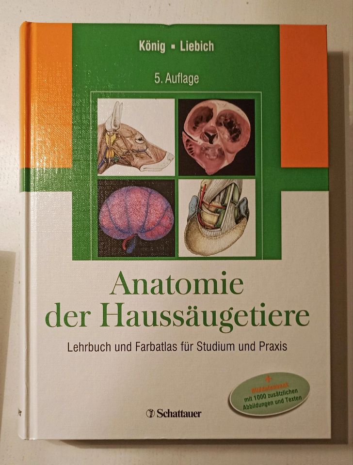 Anatomie der Haussäugetiere in Bad Kissingen