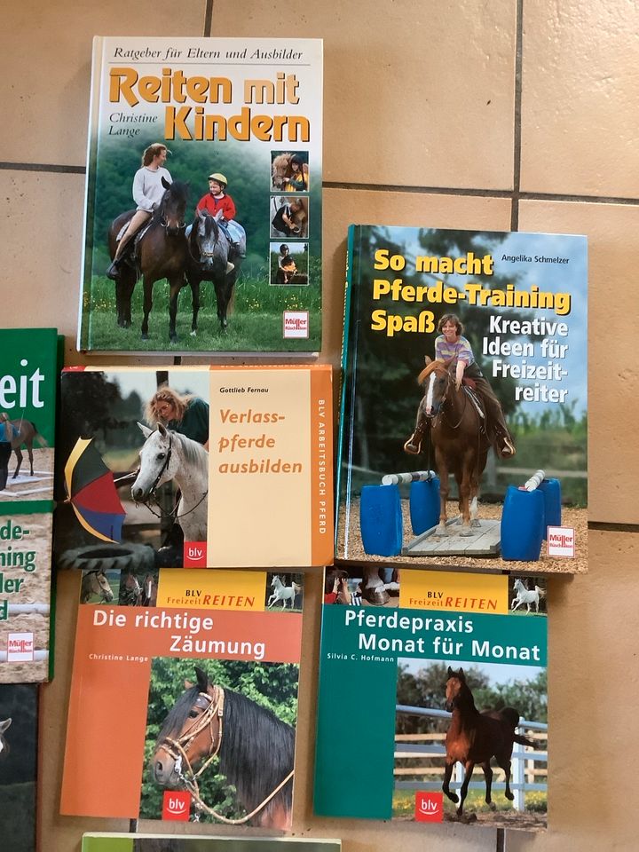 Pferdebücher Fachbücher Bodenarbeit Reiten Training Fahren in Dornburg