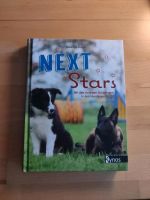 Next Stars Buch Baden-Württemberg - Löchgau Vorschau