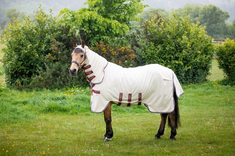 Fliegendecke, Ekzemerdecke Horseware Rambo Protector, Amigo Mio Fly, Rambo Hoody, Busse Sunshine II, Busse Strong 90,95,100,110,115,125,130,140,145,155,160,165 auch Big Size Neuware in Kempen