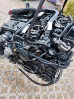 Motor Mercedes OM651. 924 651.924 W212 W204 Sprinter bj14 Komplet Kr. München - Putzbrunn Vorschau