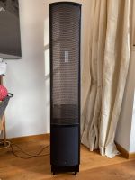 Martin Logan ElectroMotion ESL Lautsprecher Paar Bayern - Eurasburg Vorschau