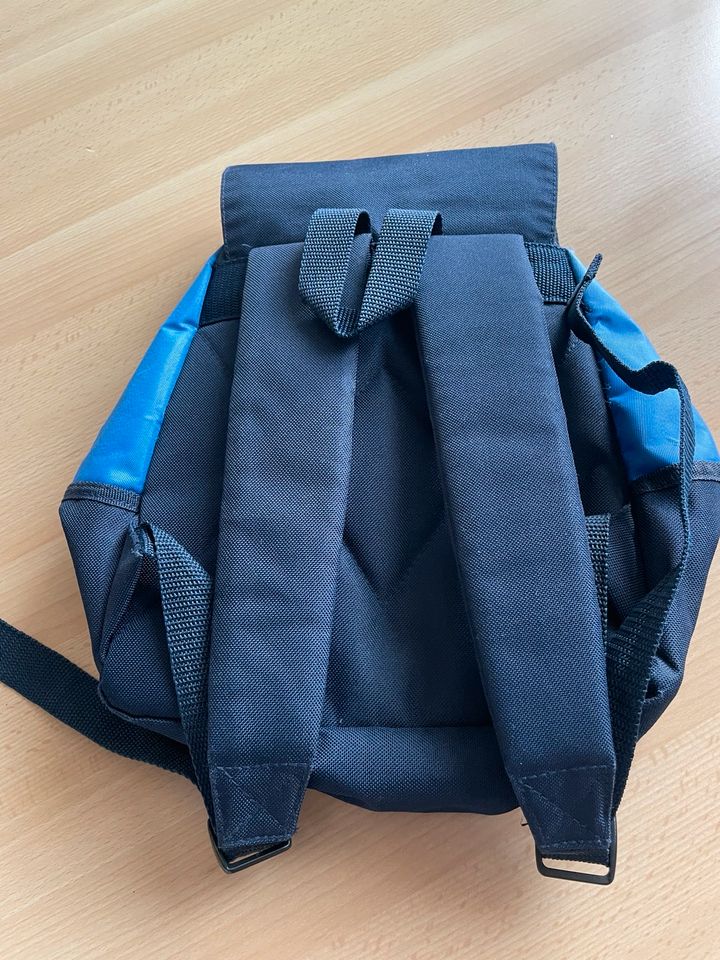 REEBOK RUCKSACK blau tipptopp Zustand wie NEU in Hamburg