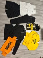 Jogginghose, Shorts, Shirt, Pullover, Hoodie von Puma in M/L Nordrhein-Westfalen - Dinslaken Vorschau