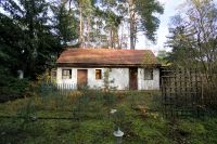 Ein großes Baugrundstück in der Waldgemeinde Borkheide Brandenburg - Borkheide Vorschau