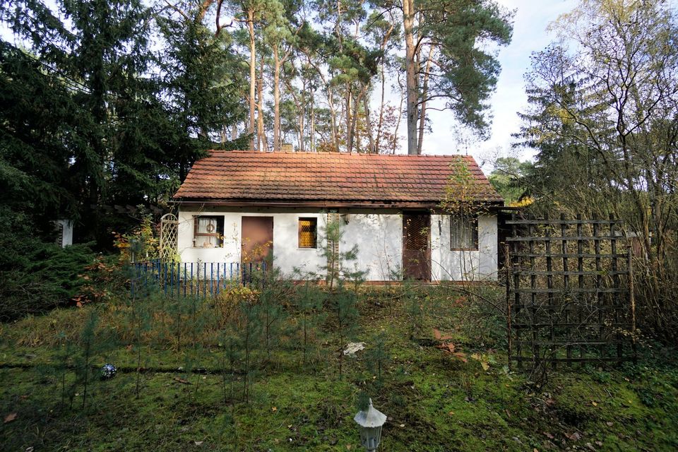 Ein großes Baugrundstück in der Waldgemeinde Borkheide in Borkheide