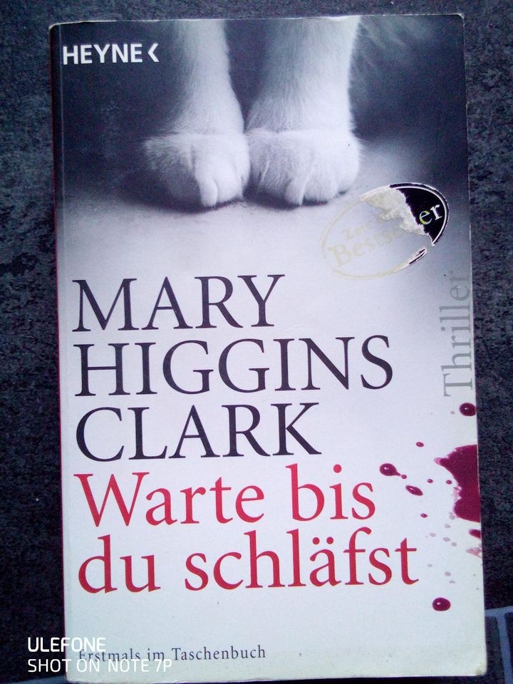 Buch Mary Higgins Clark warte bis du schläfst in Stadtallendorf