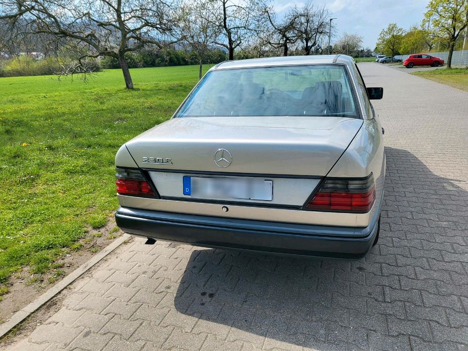 Mercedes-Benz 230E W124 in Seeheim-Jugenheim