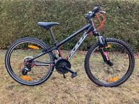 Fahrrad 24 Zoll Mountainbike Sachsen - Zwickau Vorschau