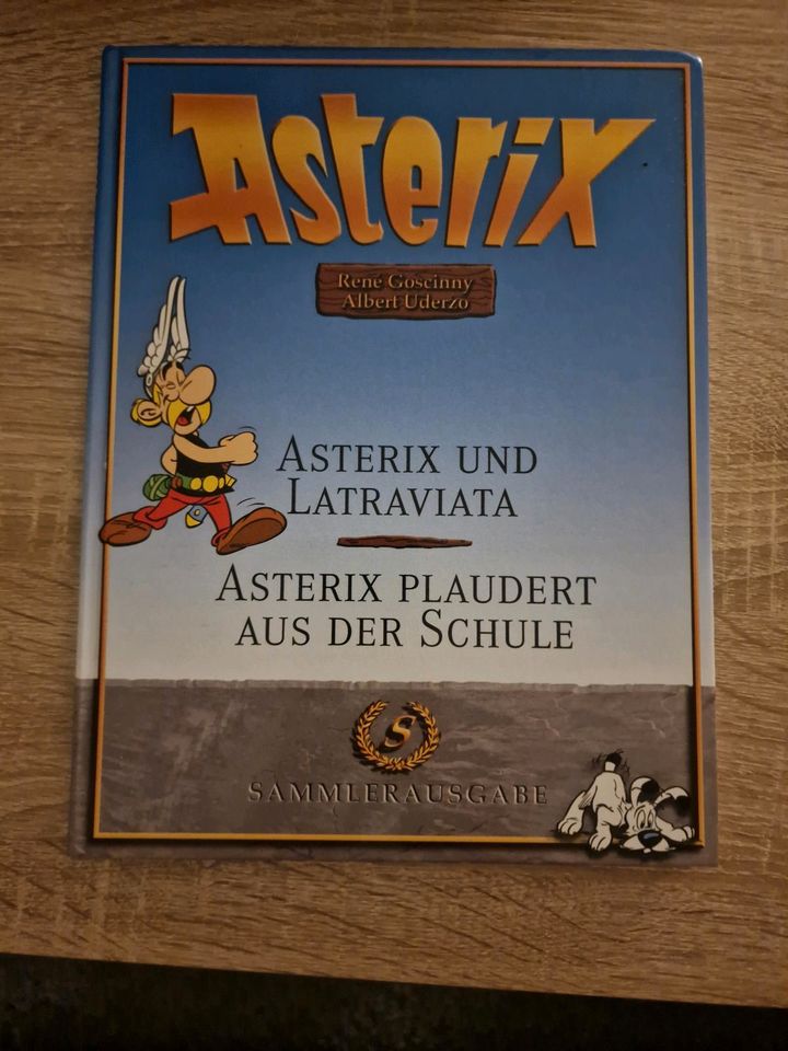 Asterix Bücher - Sammelausgabe in Dorum