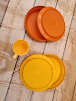 Tupperware Picknick- / Campingteller und-becher Dithmarschen - Wiemerstedt Vorschau