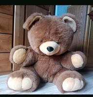 Teddybär zu verkaufen Thüringen - Ohrdruf Vorschau