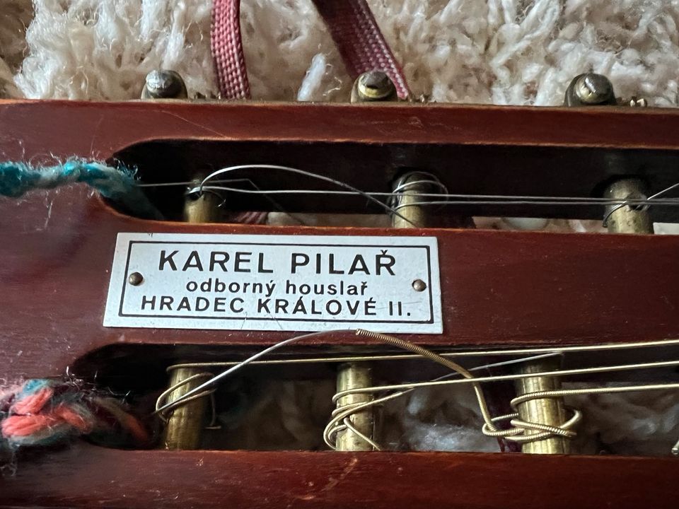 Waldzither Mandola Karel Pilar 9 Saiten in Waren (Müritz)