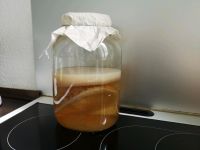 Kombucha Teepilz mit Ansatzflüssigkeit und großem Glas Baden-Württemberg - Karlsruhe Vorschau