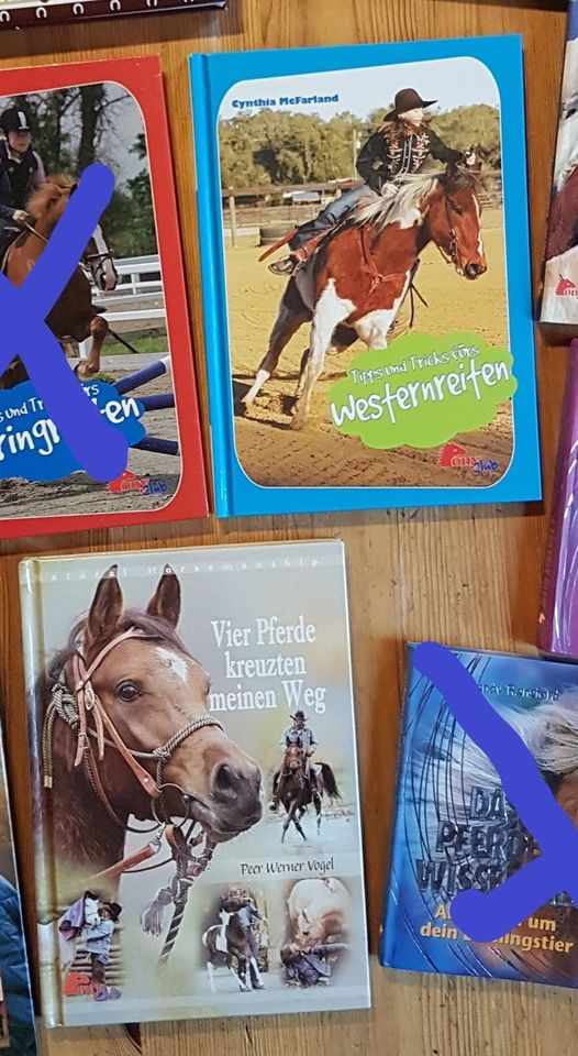 7-10 Jahre: Großes Bücherpaket Mädchen und Pferde in Kalletal