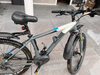 Cube Reaktion Hybrid HPA Pro 500 Nordrhein-Westfalen - Detmold Vorschau