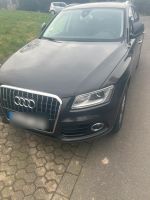 Audi q5 zu verkaufen Nordrhein-Westfalen - Lohmar Vorschau