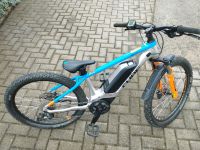 Cube Acid 240 Hybrid Rookie SL E-Bike, Thüringen - Veilsdorf Vorschau