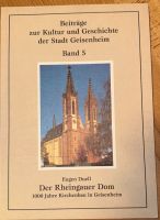 Der Rheingauer Dom Hessen - Flörsheim am Main Vorschau