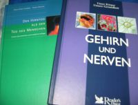 Bücher: Gehirn und Nerven / Der Hirntod als Tod  Medizin Biologie Nordrhein-Westfalen - Reken Vorschau