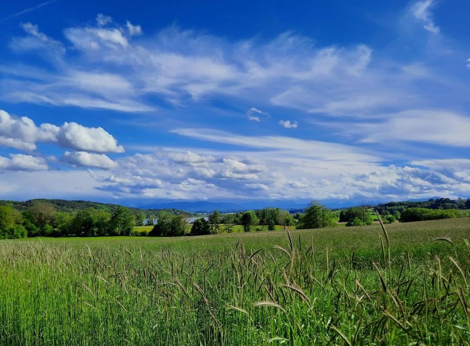 Ferienwohnung/ Bauernhof/ Region WagingerSee/ Chiemgau  /5 Pers in Taching