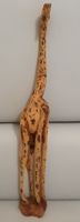 schöne afrikanische Giraffe 45 cm Rostock - Stadtmitte Vorschau