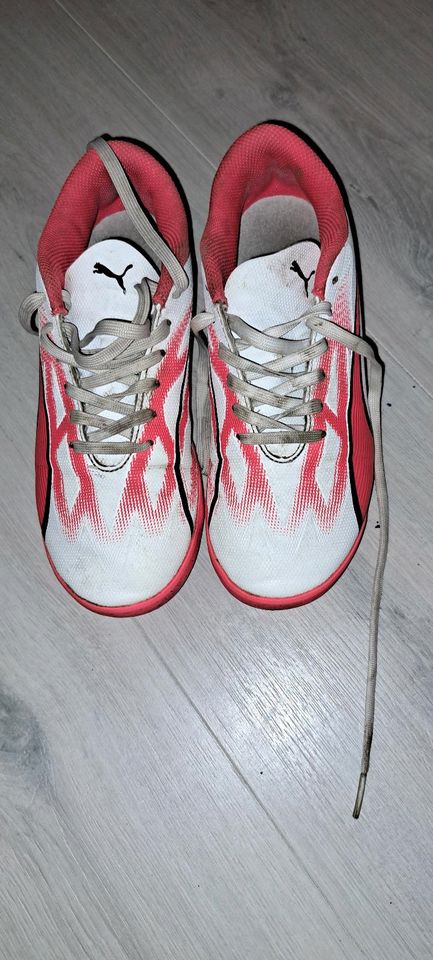 Fussballschuhe. Gr.33. Puma in Leipzig