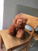 Gund Teddybär Baden-Württemberg - Dielheim Vorschau