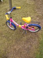 Kinder Fahrrad zu verkaufen  16 Zoll Hessen - Lich Vorschau