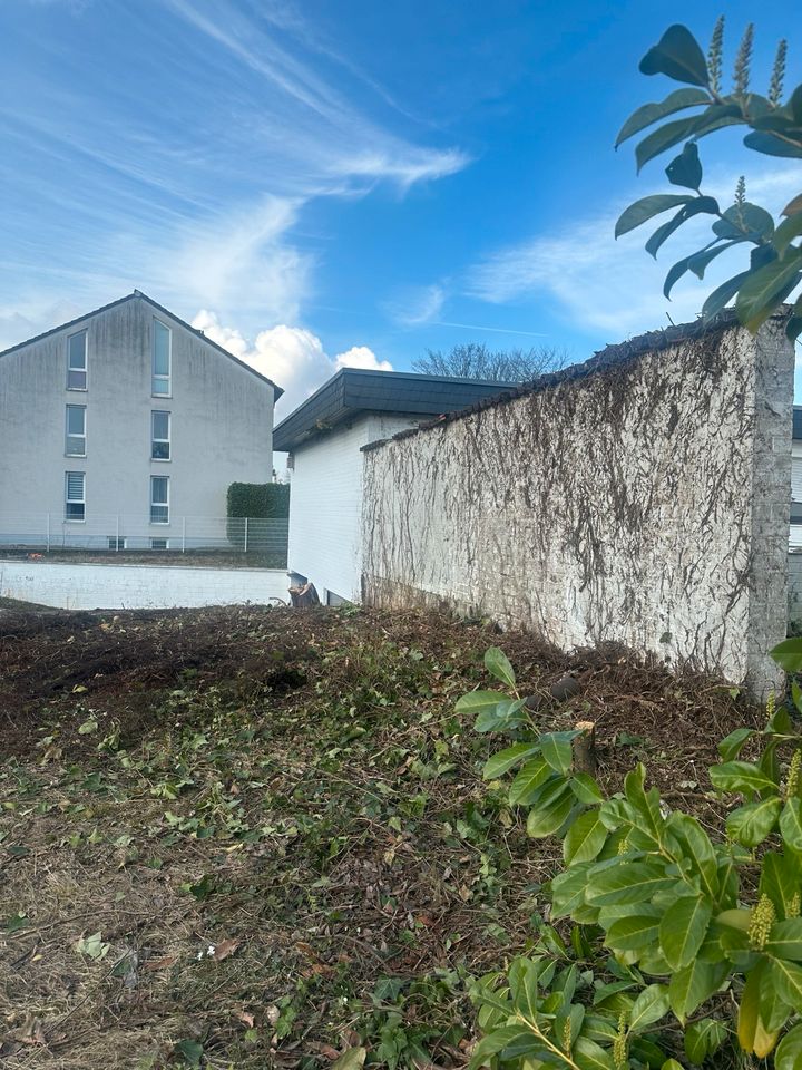 Baumfällung, Baumpflege, Grünschnitt, Gartenarbeit, Baggerarbeit in Frechen