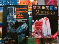 Edelsteine Mineralien Bildbände Sachbücher Kultplatzbuch Nordrhein-Westfalen - Spenge Vorschau